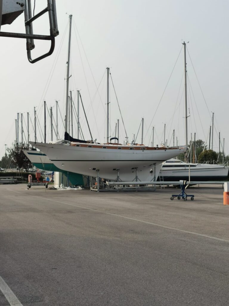 Img 20240302 wa0003